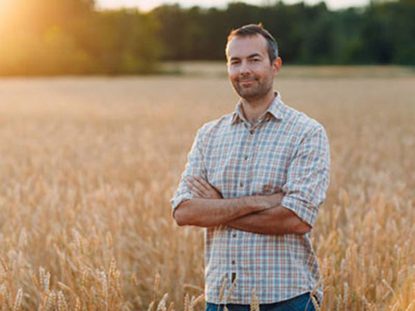 Man farmer in wheat field at sunset. Farming and agricultural harvesting